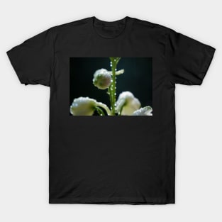 Sparkling White Delphinium Bud T-Shirt